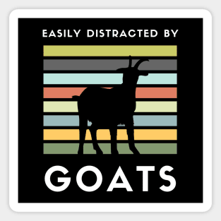 Easily Distracted By Goats Funny Saying Gift Idea for Goat Lovers Magnet